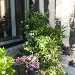 Le Pressoir