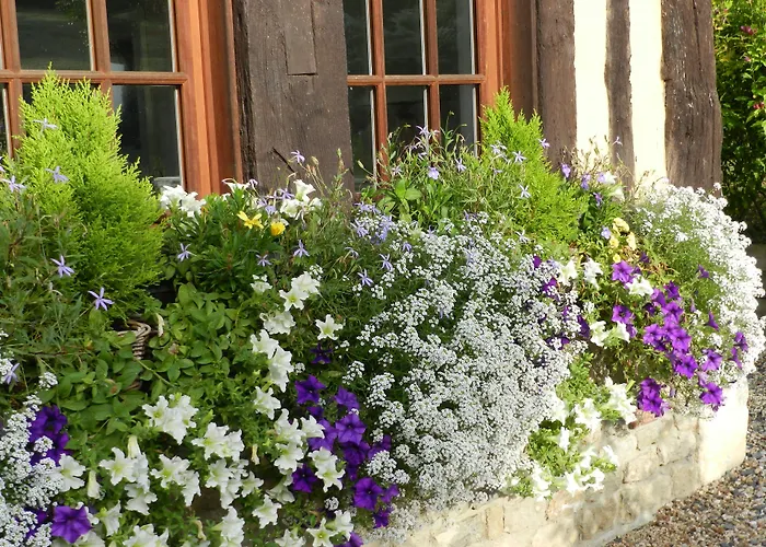 Bed & Breakfast Le Pressoir